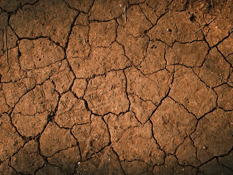 Dry clay soil split into deep polygon cracks during drought, the shrink side of shrink-swell clay