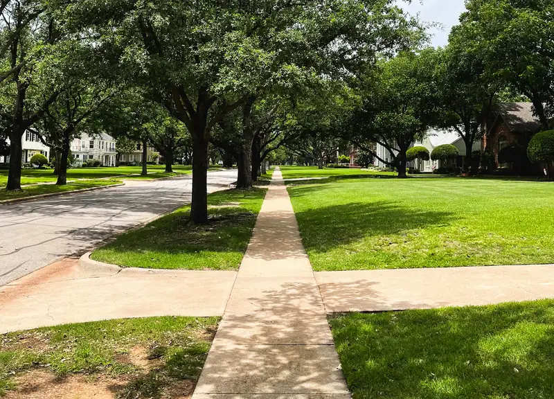Residential concrete sidewalk with jointed panels running under live oaks beside wide lawns