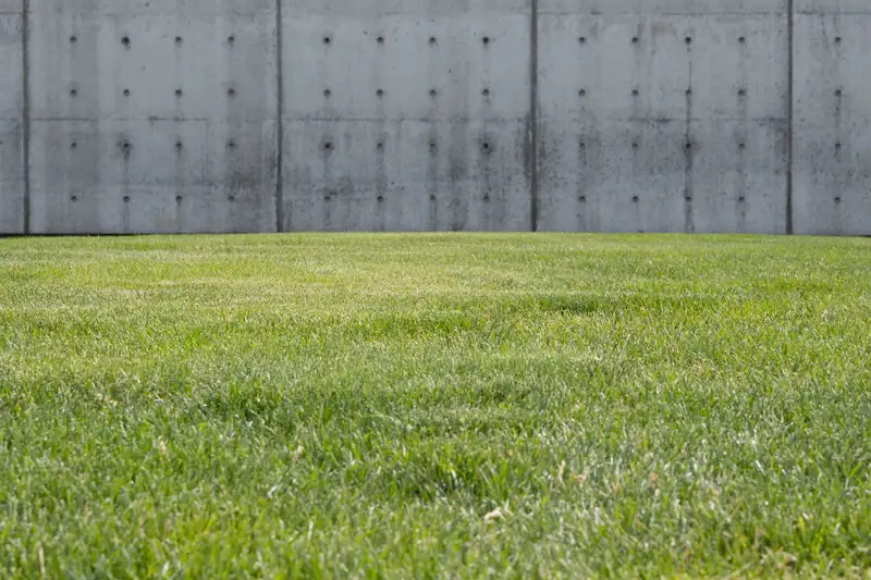 Poured concrete wall with form-tie holes and panel seams standing behind a flat lawn